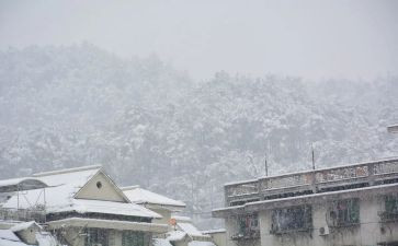 写下雪的作文最新7篇