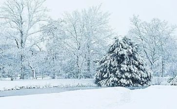 写下雪的作文最新5篇
