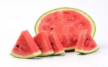 蚂蚁和西瓜教案精选8篇