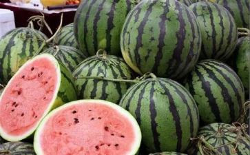 蚂蚁和西瓜教案7篇