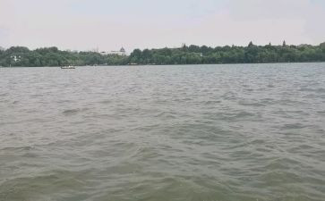 小学生西湖的作文5篇