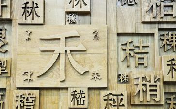 形近字教学反思参考6篇