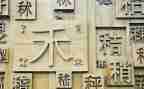 形近字教学反思参考6篇