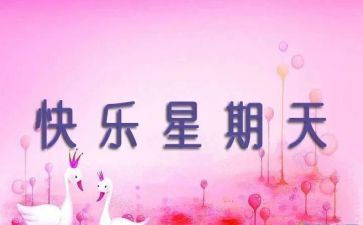 快乐星期天作文600字8篇