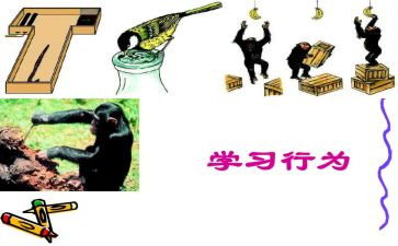 教师道德行为规范心得8篇