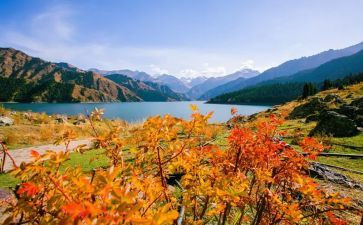 来新疆的心得体会优质5篇