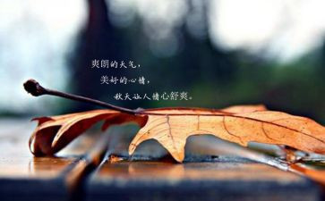 心情日记小学生作文5篇