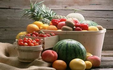 新鲜2024作文5篇