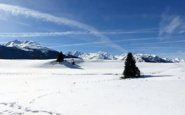 除雪合同模板6篇