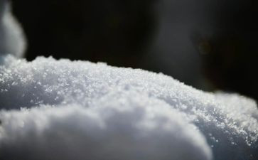 描写雪作文小学生作文参考5篇