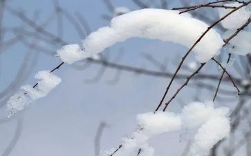 铁路除雪个人总结最新7篇