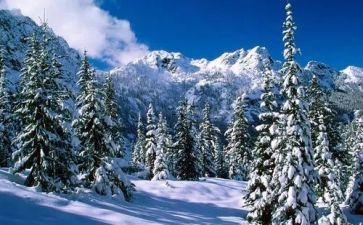 除雪合同模板最新7篇