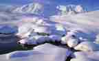 小学生作文雪300字作文5篇