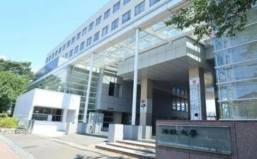 大学部门报告总结7篇