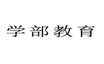 大学部门个人总结报告6篇