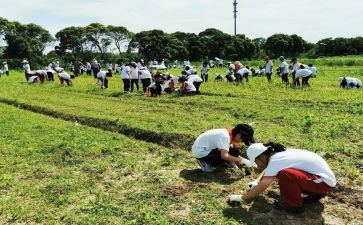 学农心得体会通用6篇