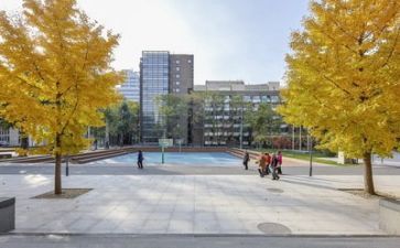 教师夸学校的演讲稿6篇