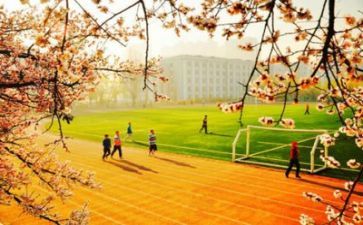 学校安全培训体会心得体会5篇