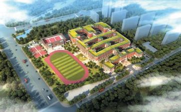 学校教师活动总结6篇