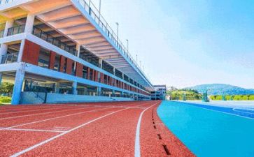 学校教师活动方案优质7篇