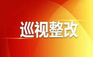 部巡视工作总结6篇