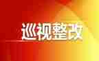 部巡视工作总结6篇