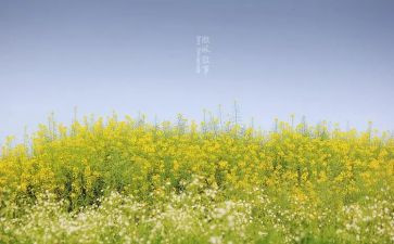 写老师叙事作文500字7篇