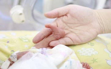 幼儿园中班字宝宝教案最新5篇