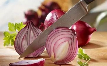 洋葱苗的作文8篇