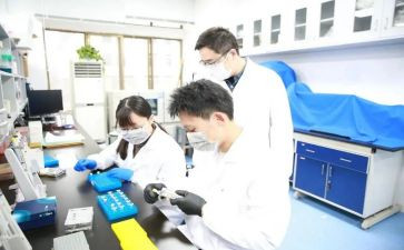 研究与报告作文推荐6篇