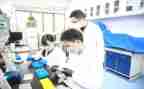 研究与报告作文推荐6篇