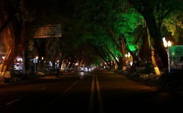 白夜行,读后感7篇