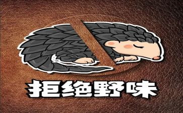 敬畏自然拒绝野味演讲稿5篇