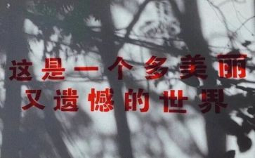 小学遗憾的作文6篇