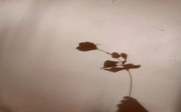 影子的游戏教案8篇