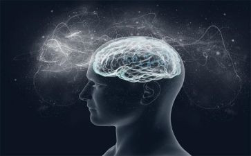 增强四个意识做到两个维护演讲稿5篇