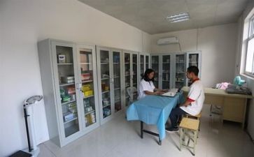 2024医务科工作总结优秀7篇