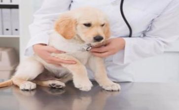 医院年度工作总结报告6篇