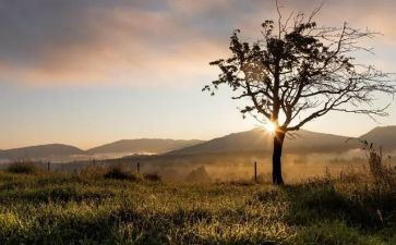 幼儿大班十一月工作总结5篇