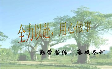 用心服务的心得7篇