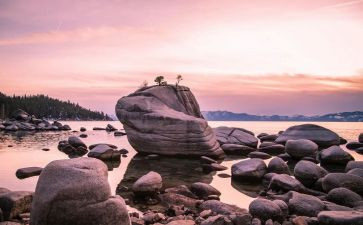 数学老师的幽默作文5篇