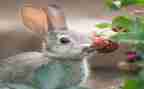 学生写有趣的作文7篇