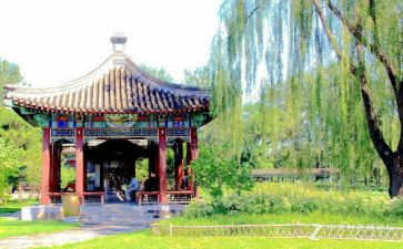 游园活动策划优质8篇