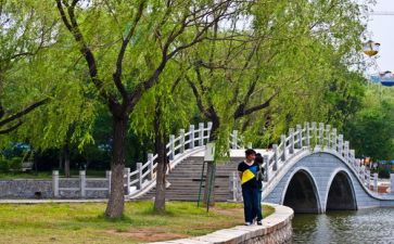 庆六一游园活动方案优秀7篇