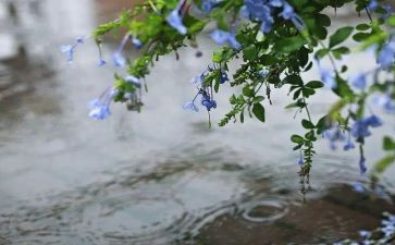 青春的雨作文优质5篇