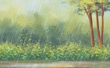 雨中班语言教案模板8篇