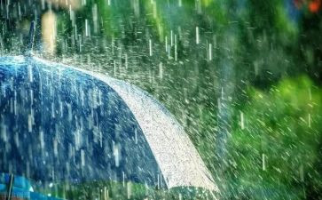 躲雨教案7篇