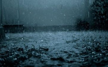 我想到的雨作文参考5篇