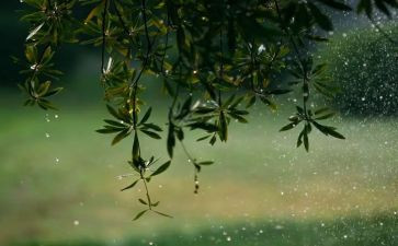 《雷雨》优秀教学反思5篇
