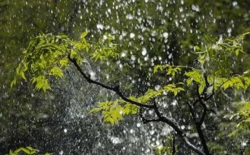 小班春雨教案5篇